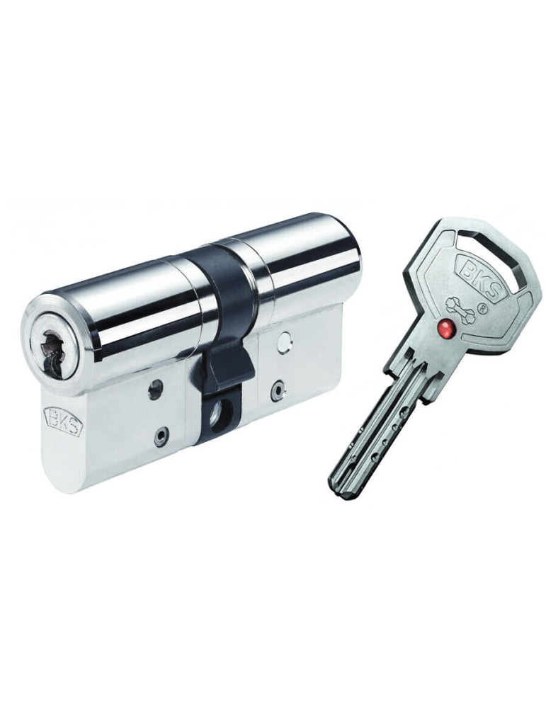 Cylinder Janus - BKS