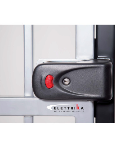 Electric rim lock for entrance gate