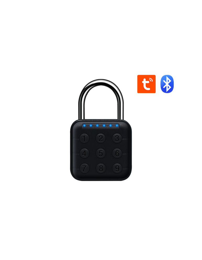 Smart Padlock with Password